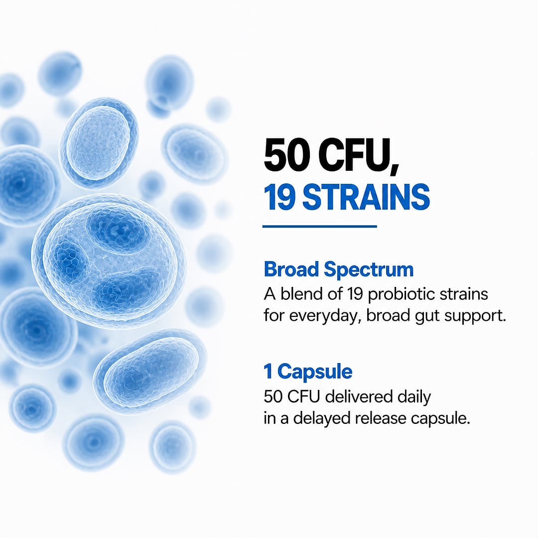 Probiotics 50 Billion CFU — 20 Strains with Prebiotic, 60 Capsules — image 3 of 10